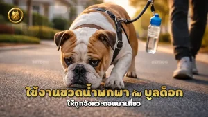 ใช้งานขวดน้ำพกพา กับ บูลด็อก