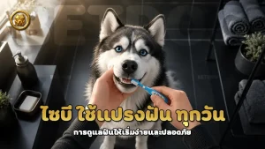 ไซบี ใช้แปรงฟัน ทุกวัน