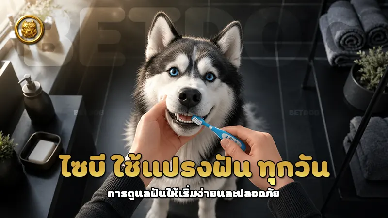 ไซบี ใช้แปรงฟัน ทุกวัน