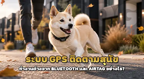 GPS ติดตาม คานาอันด็อก