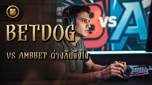 betdog vs ambbet ต่างกันยังไง