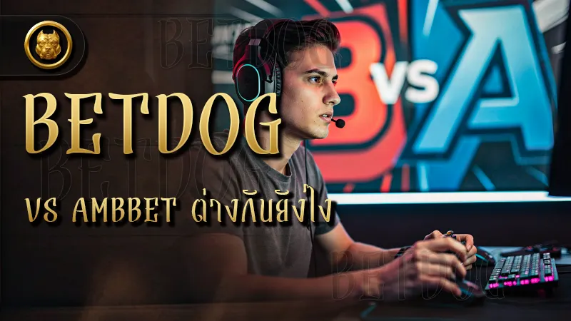 betdog vs ambbet ต่างกันยังไง