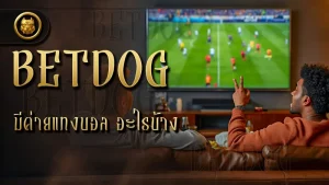 betdog มีค่ายแทงบอล อะไรบ้าง