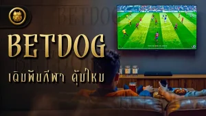 betdog เดิมพันกีฬา คุ้มไหม