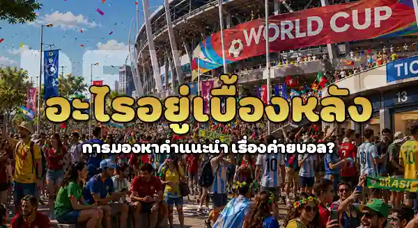 betdog แทงบอลโลก ค่ายไหนดี