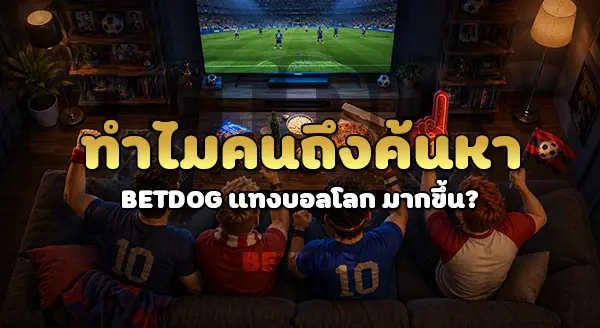 betdog แทงบอลโลก ปลอดภัยไหม