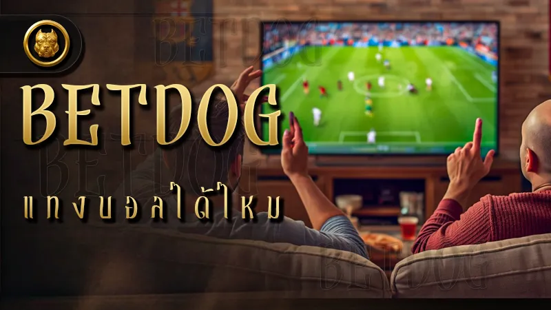 betdog แทงบอลได้ไหม