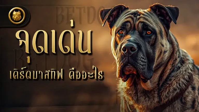 จุดเด่น เคิร์ดมาสทิฟ คืออะไร