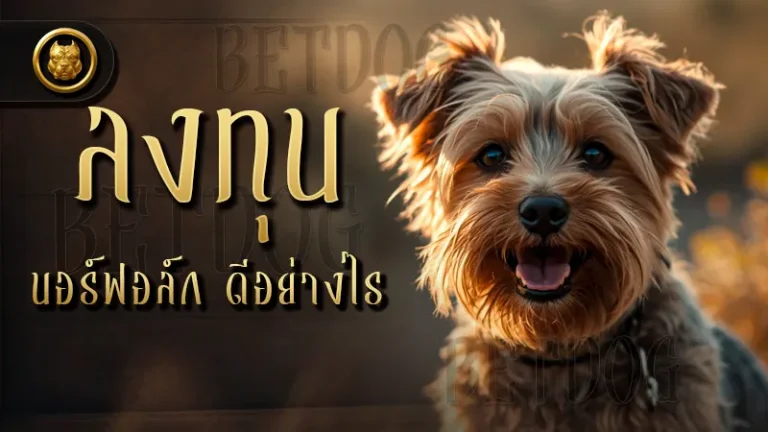 ลงทุน นอร์ฟอล์ก ดีอย่างไร