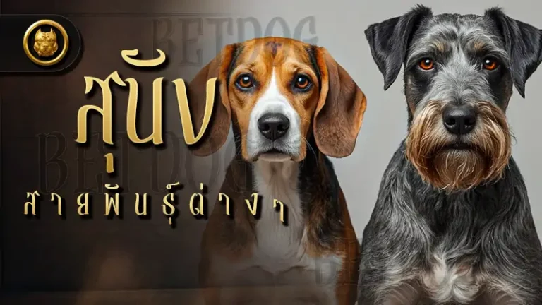 สุนัข สายพันธุ์ต่างๆ