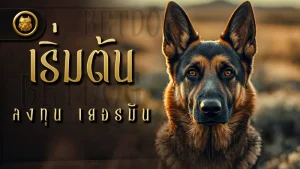 เริ่มต้น ลงทุน เยอรมัน