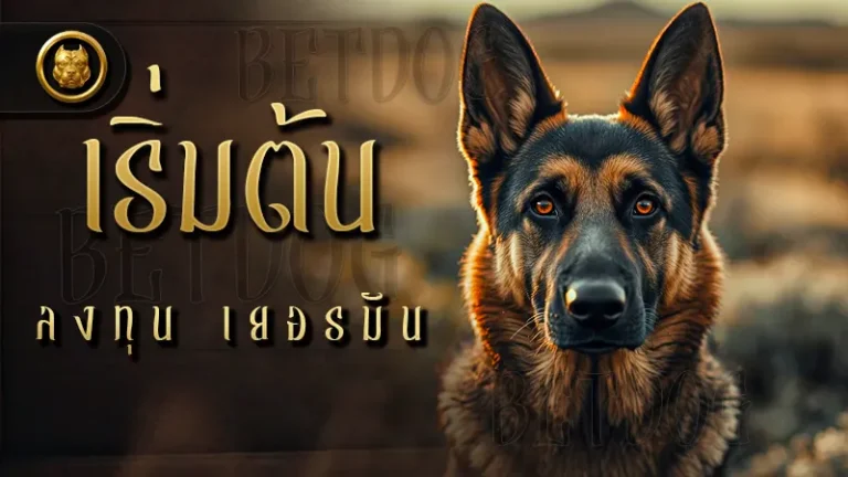 เริ่มต้น ลงทุน เยอรมัน