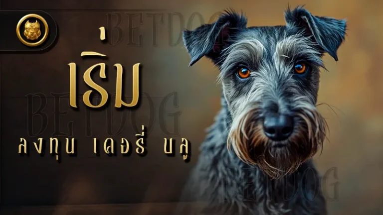เริ่มลงทุน เคอรี่ บลู