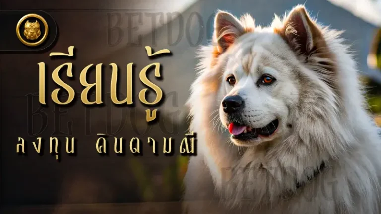 เรียนรู้ ลงทุน คินตามณี