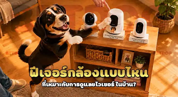 เลือกกล้อง ดู ชไวเซอร์