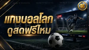 แทงบอลโลก ดูสดฟรีไหม
