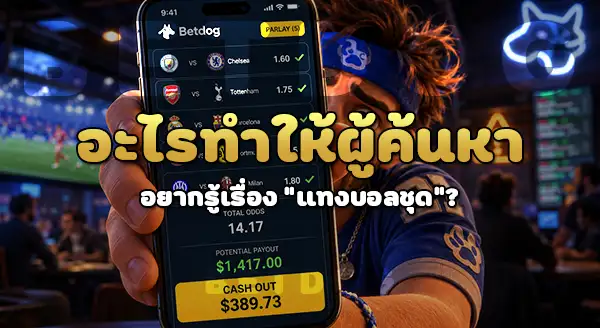 betdog แทงบอลชุดได้ไหม