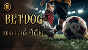 betdog แทงบอลเดี่ยวได้ไหม