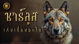 ซาร์ลูส เก่งเรื่องอะไร