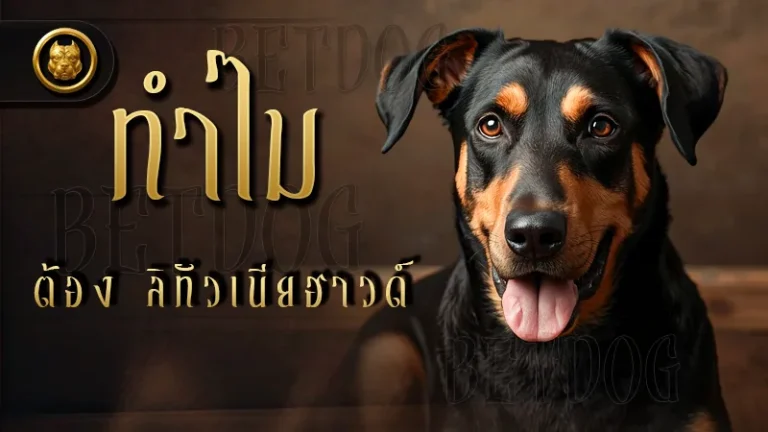 ทำไมต้อง ลิทัวเนียฮาวด์