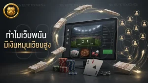 ทำไมเว็บพนัน มีเงินหมุนเวียนสูง