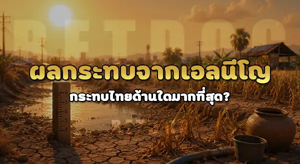 ผลกระทบจาก เอล นีโญ 2026