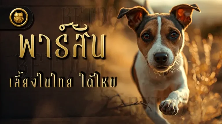 พาร์สัน เลี้ยงในไทย ได้ไหม