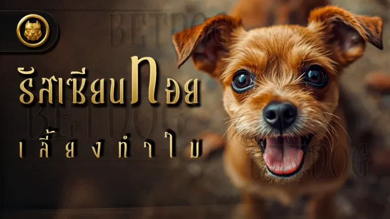 รัสเซียนทอย เลี้ยงทำไม