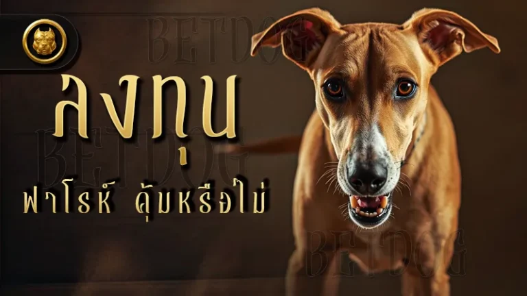 ลงทุน ฟาโรห์ คุ้มหรือไม่