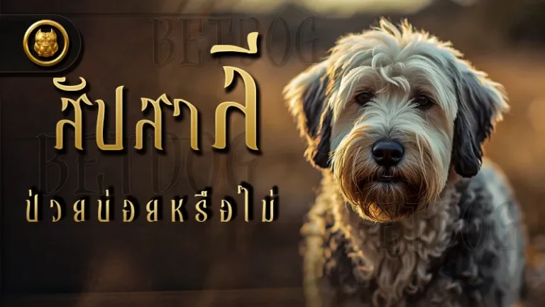 สัปสาลี ป่วยบ่อยหรือไม่