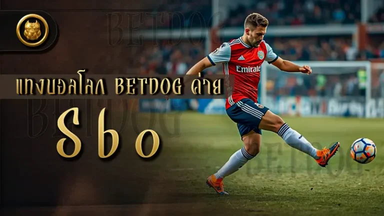 แทงบอลโลก betdog ค่าย Sbo