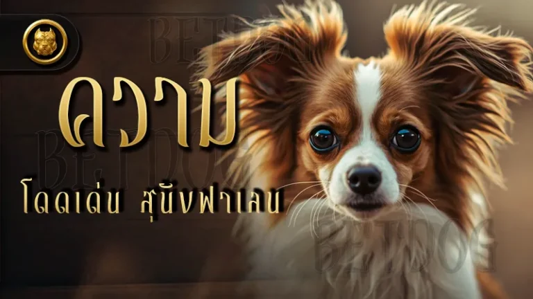 ความโดดเด่น สุนัขฟาเลน