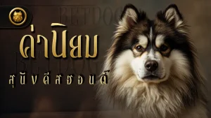 ค่านิยม สุนัขคีสฮอนด์