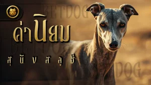 ค่านิยม สุนัขสลูฮี