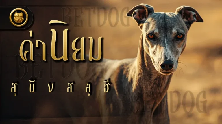 ค่านิยม สุนัขสลูฮี