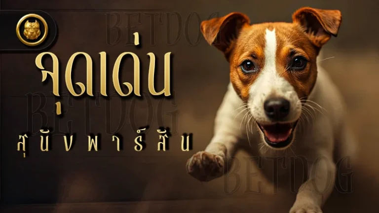 จุดเด่น สุนัขพาร์สัน