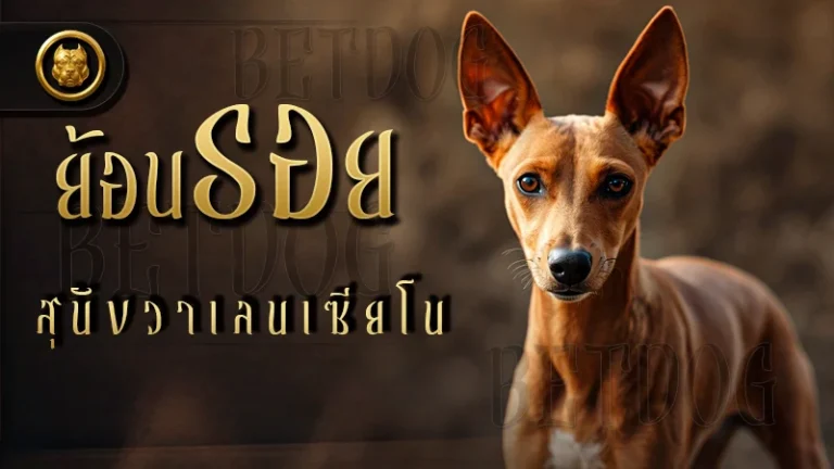 ย้อนรอย สุนัขวาเลนเซียโน