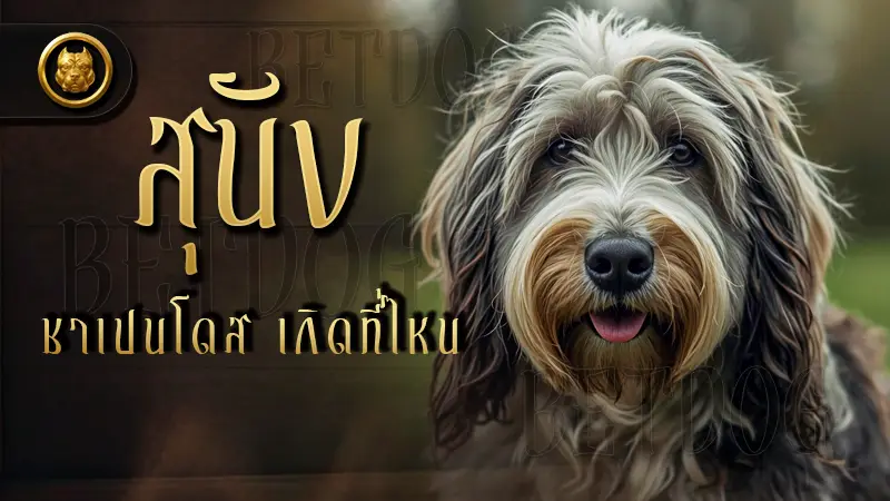 สุนัขชาเปนโดส เกิดที่ไหน