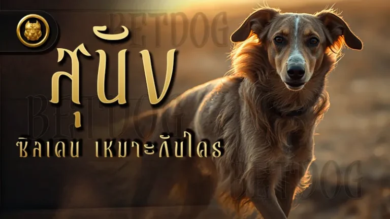สุนัขซิลเคน เหมาะกับใคร