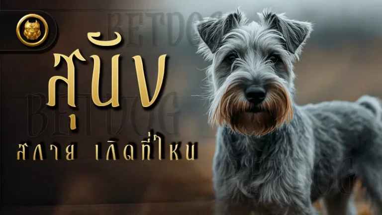 สุนัขสกาย เกิดที่ไหน