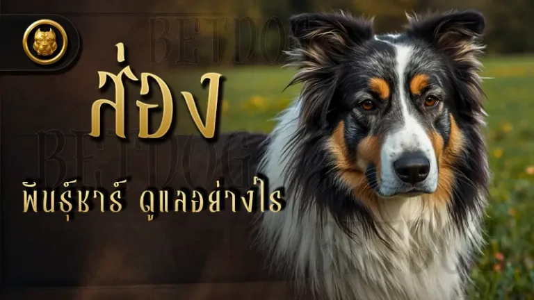 ส่อง พันธุ์ชาร์ ดูแลอย่างไร