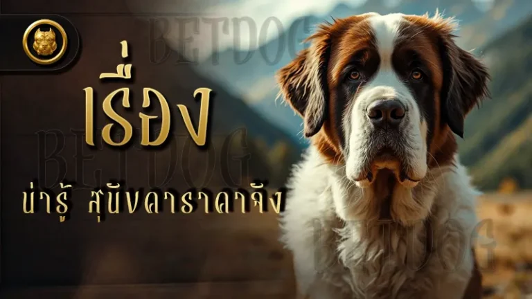 เรื่องน่ารู้ สุนัขคาราคาจัง