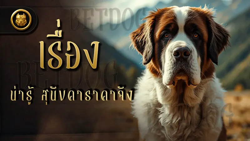 เรื่องน่ารู้ สุนัขคาราคาจัง