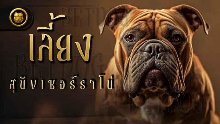 เลี้ยง สุนัขเซอร์ราโน่