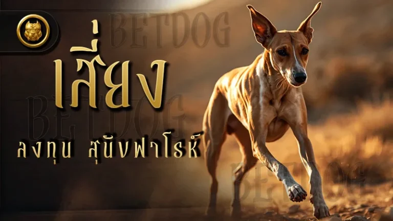 เสี่ยงลงทุน สุนัขฟาโรห์