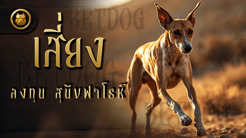 เสี่ยงลงทุน สุนัขฟาโรห์