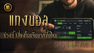 แทงบอลช่วงนี้ เสี่ยงโดนจับมากขึ้นไหม