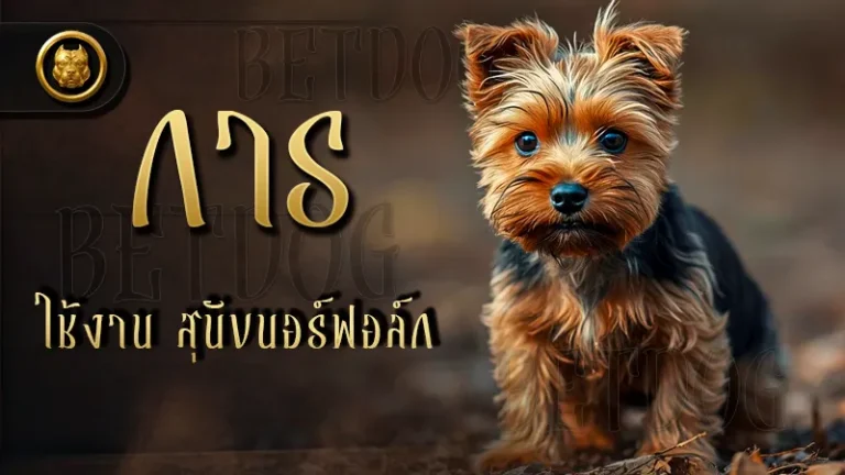 การใช้งาน สุนัขนอร์ฟอล์ก