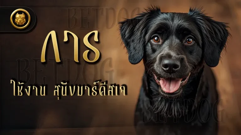 การใช้งาน สุนัขมาร์คีสเจ