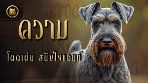 ความโดดเด่น สุนัขไจแอนท์